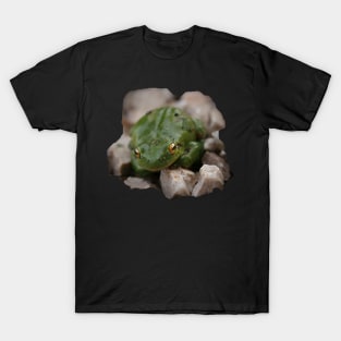 small green frog on pebbles T-Shirt